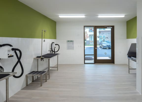 On-Site Pet Spa with Grooming Stations and Wash Tubs