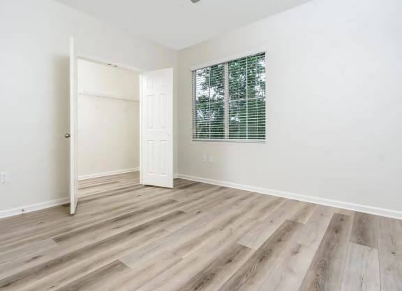 Spacious Bedroom with Large Closet