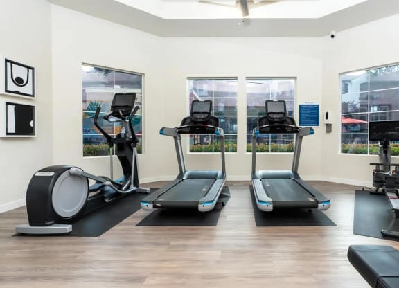 High-End Fitness Center with Full Cardio Setup and Mounted TV