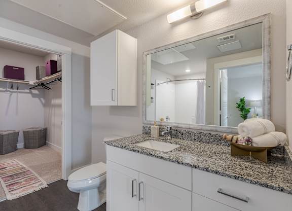 Bathroom With Granite Countertop And Large Mirror