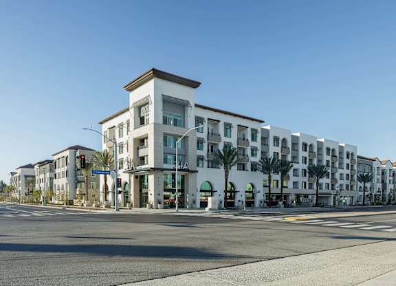 Zia apartment building exterior with white walls, large windows, balconies, and palm trees.