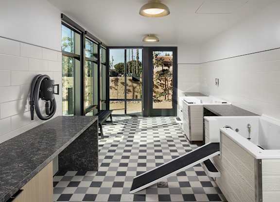 Indoor dog spa with raised wash stations, drying equipment, counters, and patterned tile flooring.