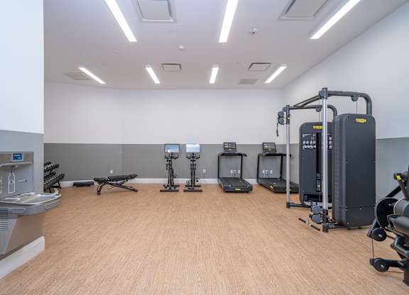 Fitness center with cardio and strength equipment at Port & Main Apartments, Port Chester