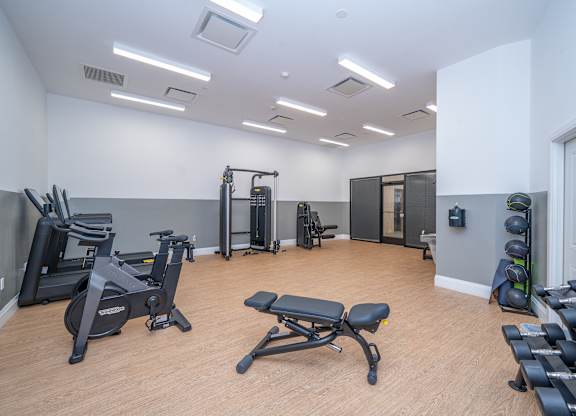 Fitness center with cardio and strength training equipment at Port & Main Apartments, New York, 10573