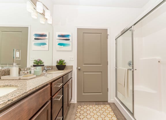 a bathroom with a sink and a shower
