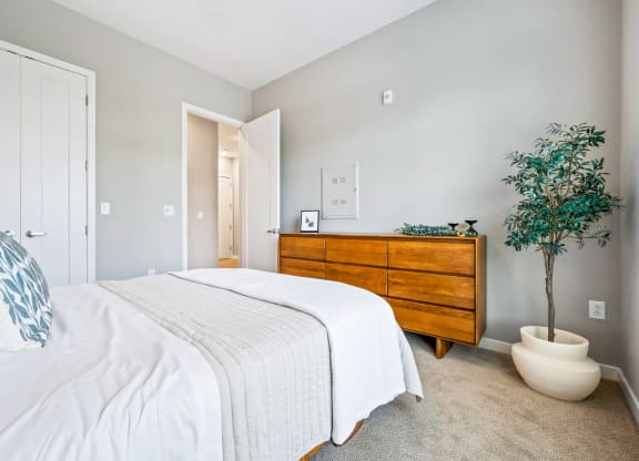 a bedroom with a bed and a dresser and a plant