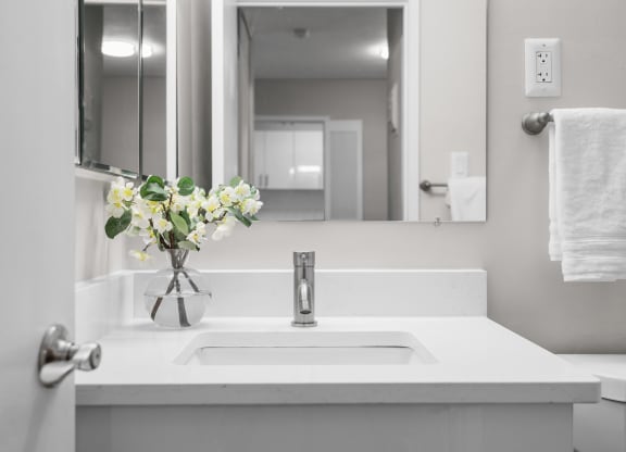 a bathroom with a sink and a mirror