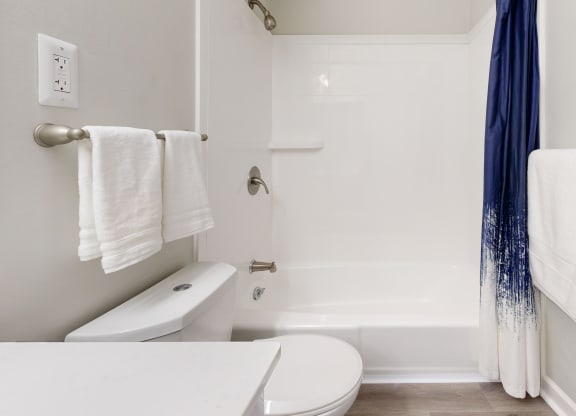 a bathroom with a toilet and a bathtub