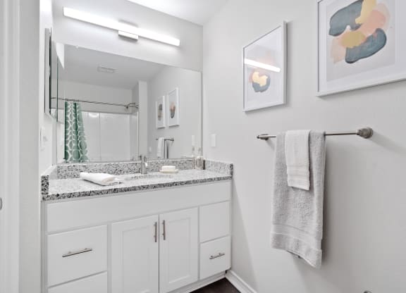 a bathroom with a sink and a mirror and a towel rack