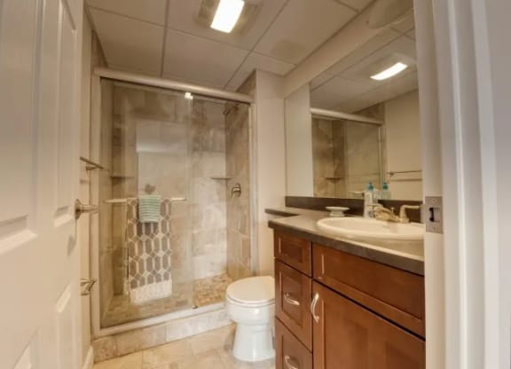 Renovated apartment  bathroom