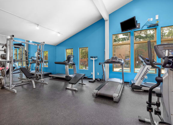 free weights and cardio machines at the enclave at woodbridge apartments in sugar land, tx