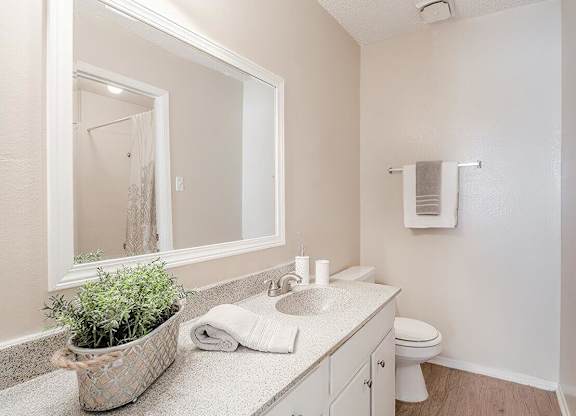 a bathroom with a mirror and a toilet and a sink