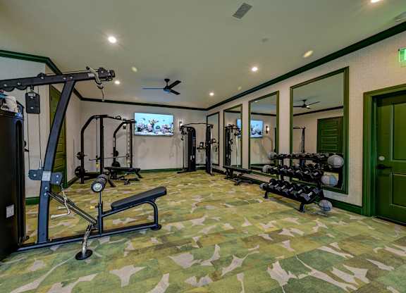 A gym with a variety of equipment including a squat rack, bench, and dumbbells.