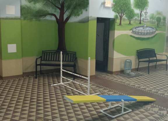 Pet play area at Grand Wisconsin, Wisconsin , 53203