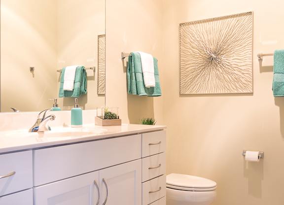 Bathroom With Adequate Storage at Grand Wisconsin, Wisconsin , 53203