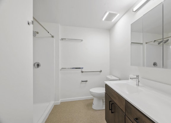 a bathroom with a sink toilet and a shower