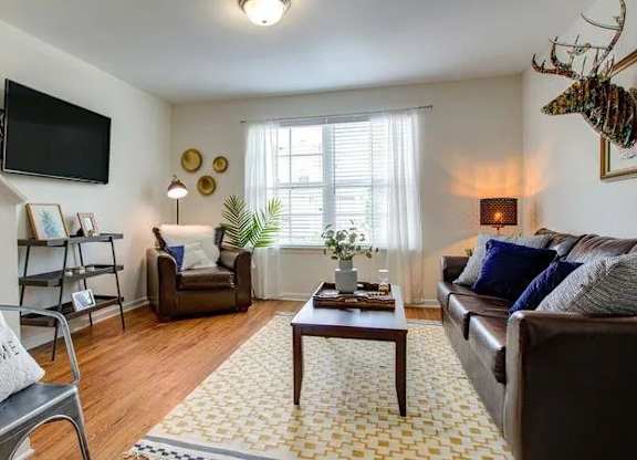 A living room with a brown couch, a coffee table, a chair, a TV, and a rug.