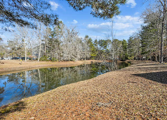 A serene landscape with a lake surrounded by trees.