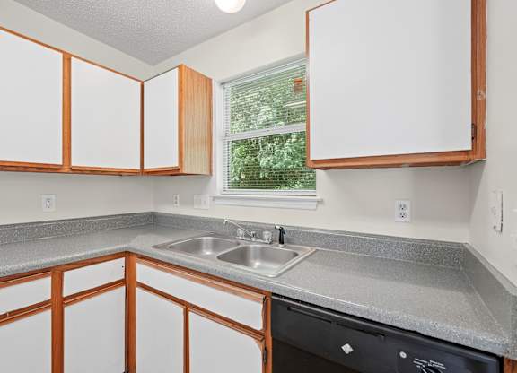 A kitchen with white cabinets and a black dishwasher.
