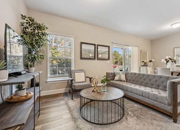 A living room with a grey sofa, a coffee table, and a potted plant.