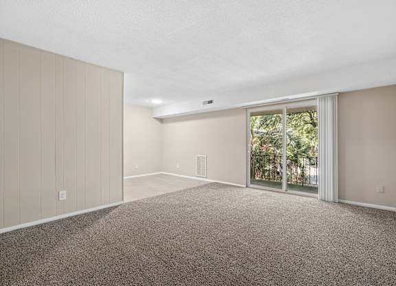 A room with a carpeted floor and a sliding glass door leading outside.