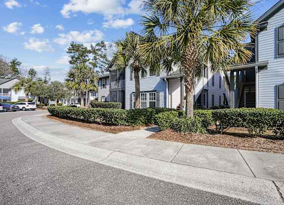 A palm tree stands in front of a grey building.