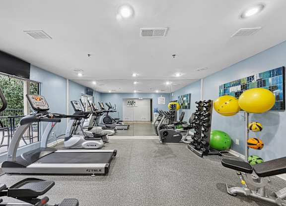A gym with treadmills, exercise balls, and weights.