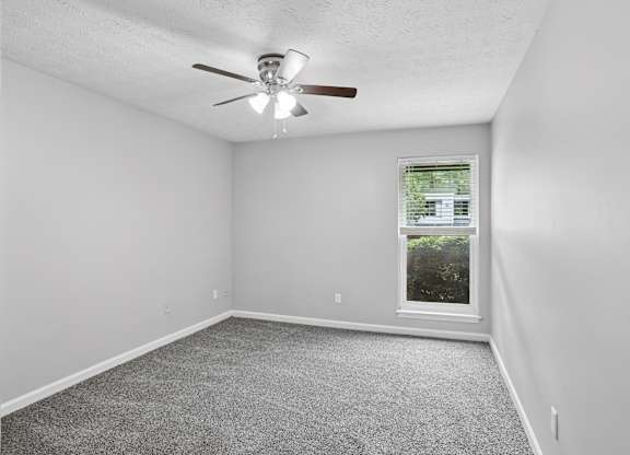 Plush Carpeting at Magnolia at Whitlock, Georgia, 30064