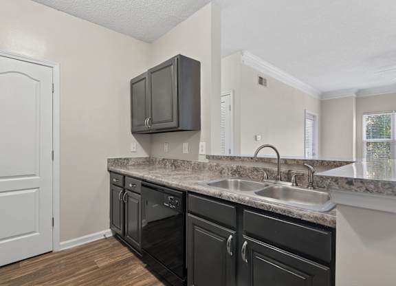 Classic Kitchen at Carrington Park at Lake Lanier, Gainesville