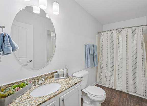 A bathroom with a white toilet, sink, and shower curtain.