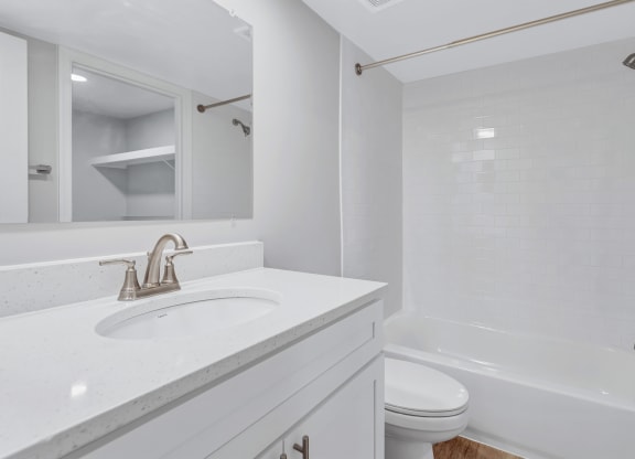a bathroom with a sink and a shower and a toilet