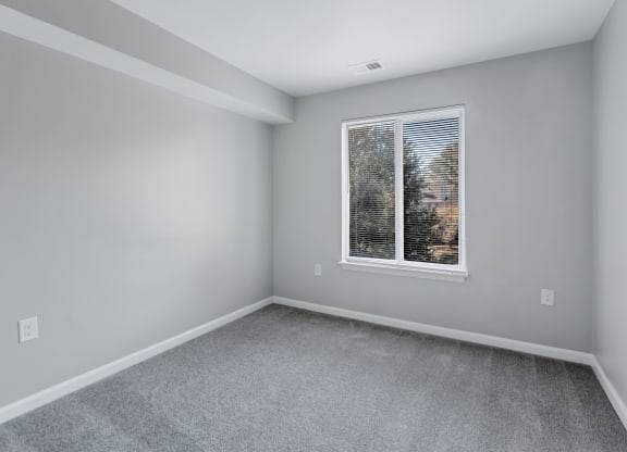 room with carpet and window in a new home