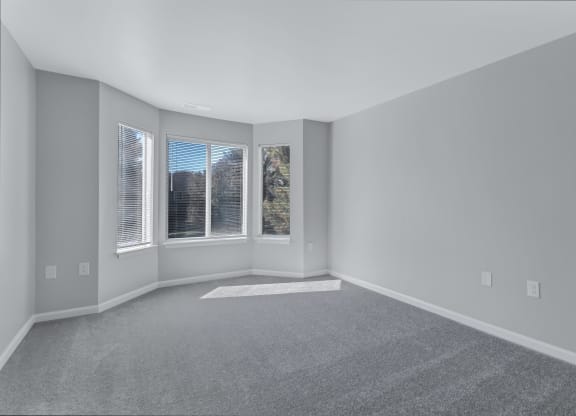 an empty living room with three windows and gray carpet