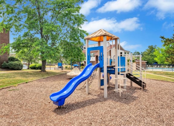 a playground with a blue slide and monkey bars