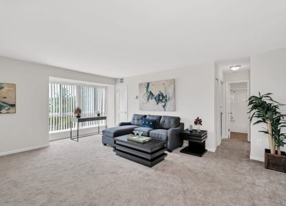 a living room with white walls and beige carpet