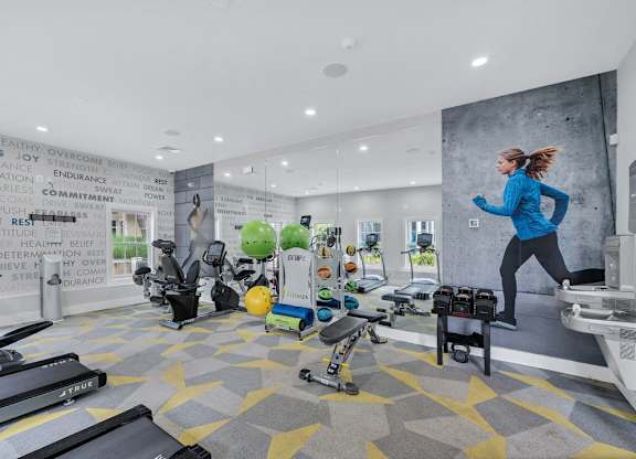 a fitness center with designer carpet, mural of two runners, treadmills, free weights, and various workout equipment.