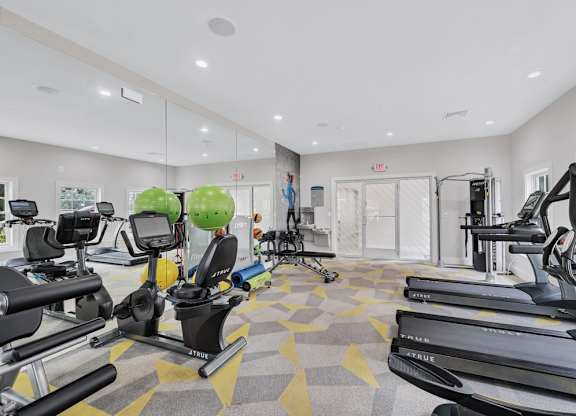 a fitness center with designer carpet, mural of two runners, treadmills, free weights, and various workout equipment.