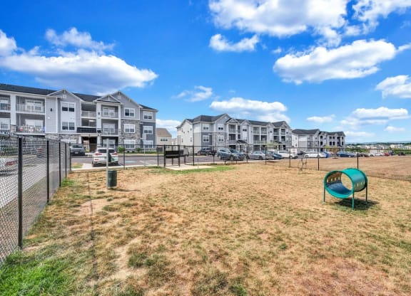 the preserve at ballantyne commons dog park with apartment buildings in the background