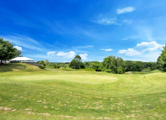 a view of a golf course with green grass and trees