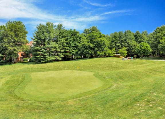 a view of a golf green with trees in the background