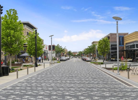 a city street with trees and buildings on both sides