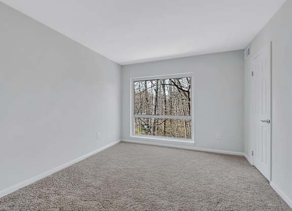 A room with a carpeted floor and a window showing a tree outside.