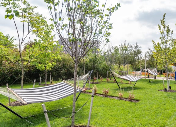 mission lofts outdoor hammocks