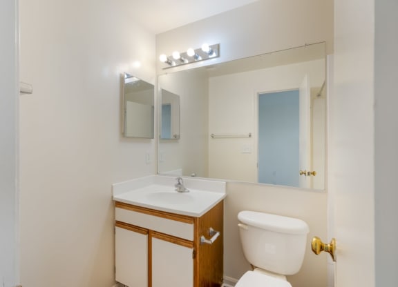 a bathroom with a toilet and a sink and a mirror