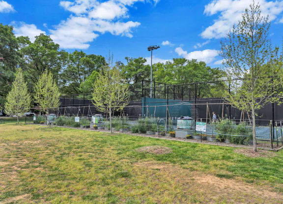 a park with trees and a fence and a tennis court