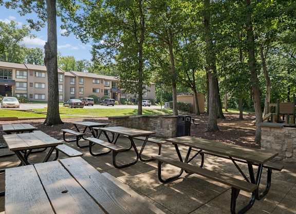 Picnic tables are set up in a shady area.