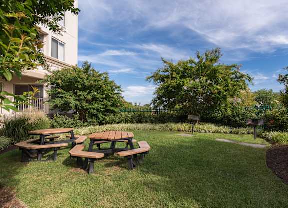 Picnic tables are set up in a grassy area.