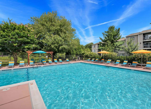 Waterside at Reston pool