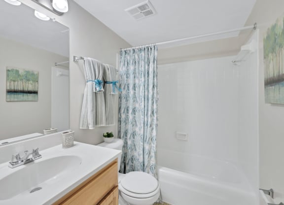 a bathroom with a sink toilet and bathtub