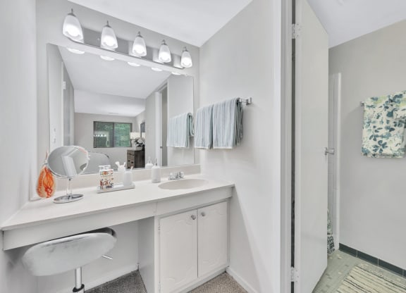 a bathroom with a sink and a shower